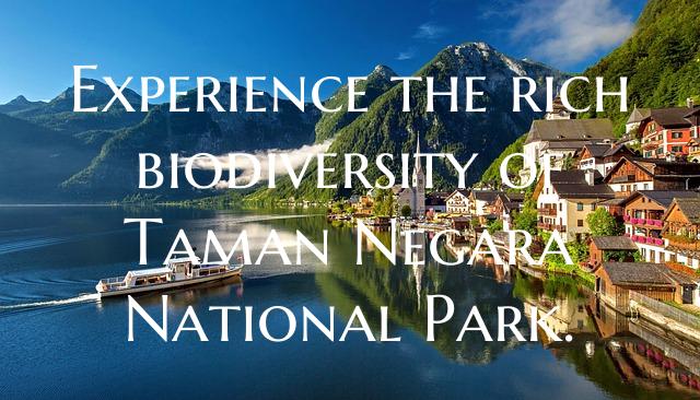 Experience the rich biodiversity of Taman Negara N...